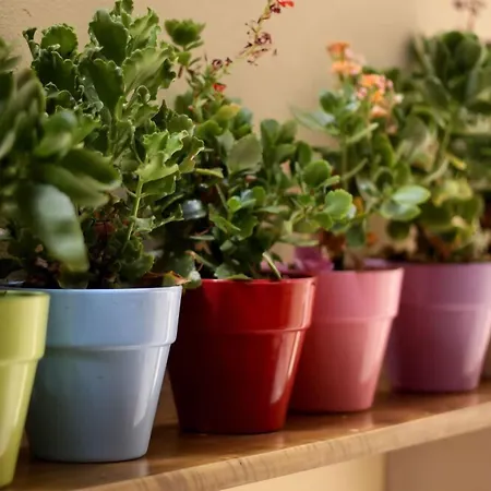 Byzantine 4* Ретимно