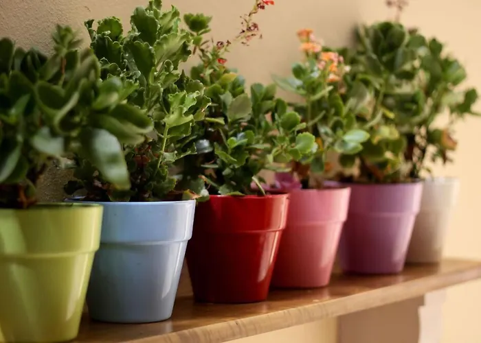 Byzantine 4* Rethimnon